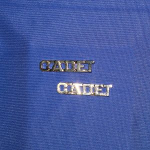 CADET Collar Pin-Gold