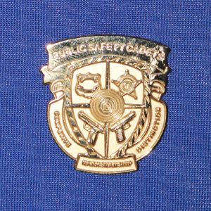 Competitive Marksmanship Distinction - Gold