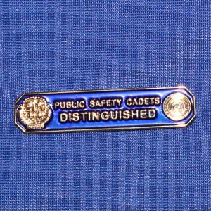 Firearms Safety - Distinguished