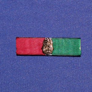 WYE Award w DEA Badge